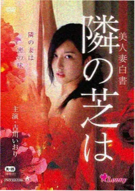 在线观看大片韩剧 黄金兄弟